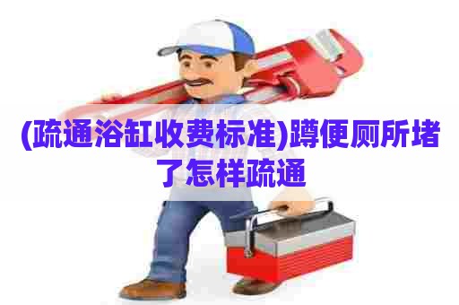 (疏通浴缸收费标准)蹲便厕所堵了怎样疏通 (疏通浴缸收费标准)蹲便厕所堵了怎样疏通