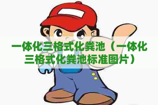 一体化三格式化粪池（一体化三格式化粪池标准图片）