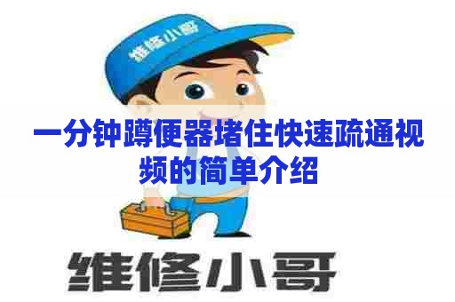 一分钟蹲便器堵住快速疏通视频的简单介绍