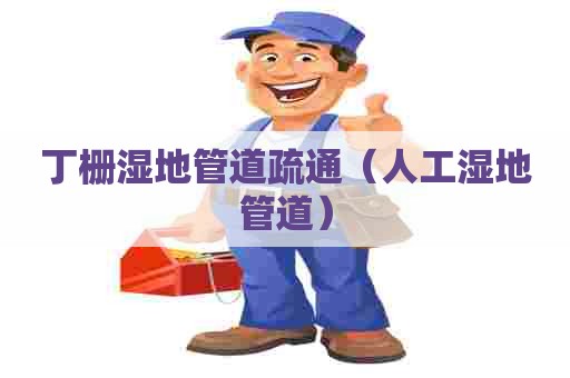 丁栅湿地管道疏通（人工湿地管道）