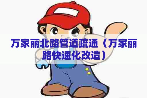 万家丽北路管道疏通（万家丽路快速化改造）
