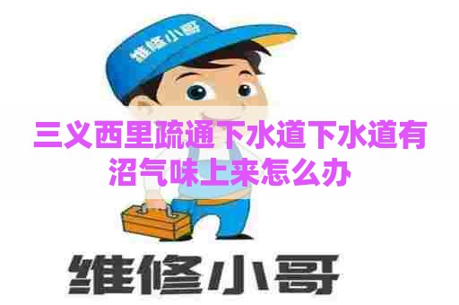 三义西里疏通下水道下水道有沼气味上来怎么办