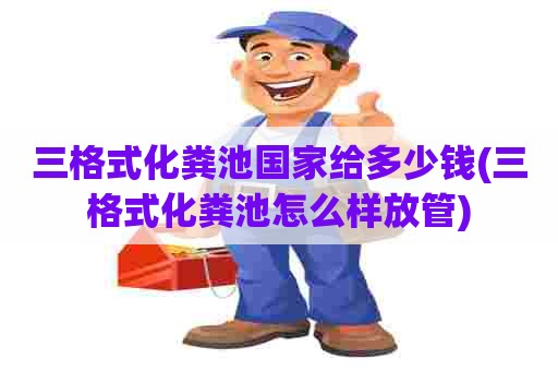 三格式化粪池国家给多少钱(三格式化粪池怎么样放管) 三格式化粪池国家给多少钱(三格式化粪池怎么样放管)