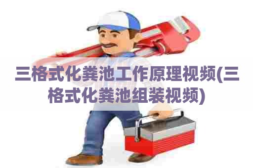 三格式化粪池工作原理视频(三格式化粪池组装视频) 三格式化粪池工作原理视频(三格式化粪池组装视频)