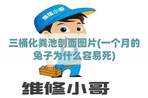 三桶化粪池剖面图片(一个月的兔子为什么容易死) 三桶化粪池剖面图片(一个月的兔子为什么容易死)