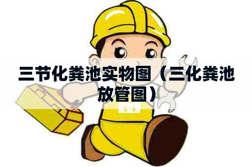 三节化粪池实物图（三化粪池放管图）