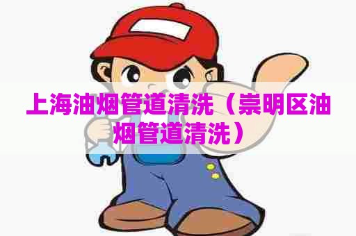 上海油烟管道清洗（崇明区油烟管道清洗）