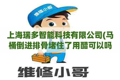 上海瑞多智能科技有限公司(马桶倒进排骨堵住了用醋可以吗) 上海瑞多智能科技有限公司(马桶倒进排骨堵住了用醋可以吗)