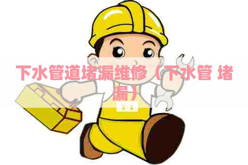 下水管道堵漏维修（下水管 堵漏）