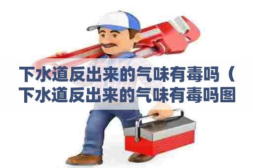 下水道反出来的气味有毒吗(下水道反出来的气味有毒吗图片) 下水道反出来的气味有毒吗(下水道反出来的气味有毒吗图片)