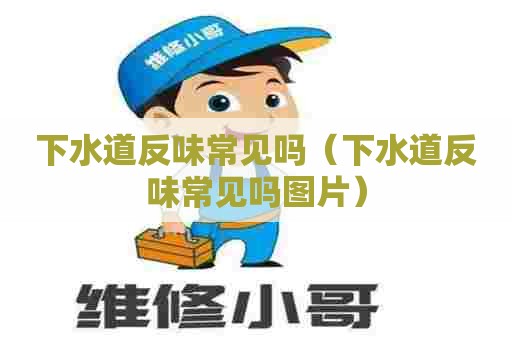 下水道反味常见吗（下水道反味常见吗图片）