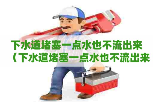 下水道堵塞一点水也不流出来(下水道堵塞一点水也不流出来怎么办) 下水道堵塞一点水也不流出来(下水道堵塞一点水也不流出来怎么办)