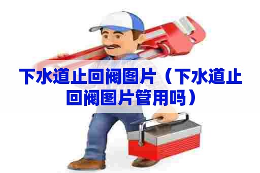 下水道止回阀图片(下水道止回阀图片管用吗) 下水道止回阀图片(下水道止回阀图片管用吗)