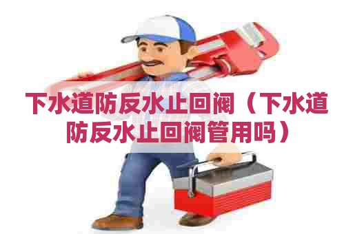 下水道防反水止回阀(下水道防反水止回阀管用吗) 下水道防反水止回阀(下水道防反水止回阀管用吗)