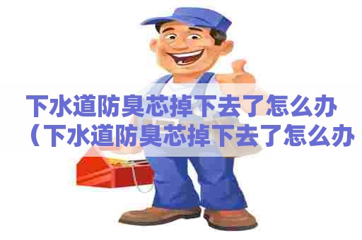 下水道防臭芯掉下去了怎么办（下水道防臭芯掉下去了怎么办视频）