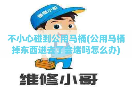 不小心碰到公用马桶(公用马桶掉东西进去了会堵吗怎么办)