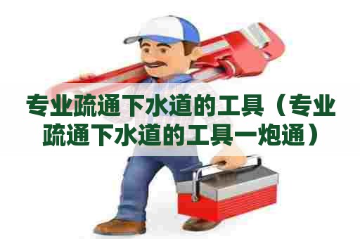 专业疏通下水道的工具（专业疏通下水道的工具一炮通）