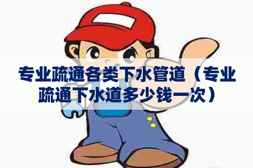 专业疏通各类下水管道（专业疏通下水道多少钱一次）