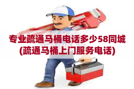 专业疏通马桶电话多少58同城(疏通马桶上门服务电话)