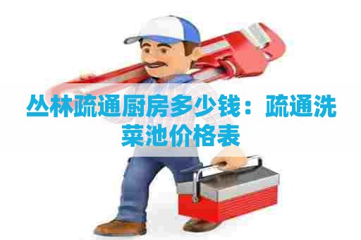 丛林疏通厨房多少钱：疏通洗菜池价格表