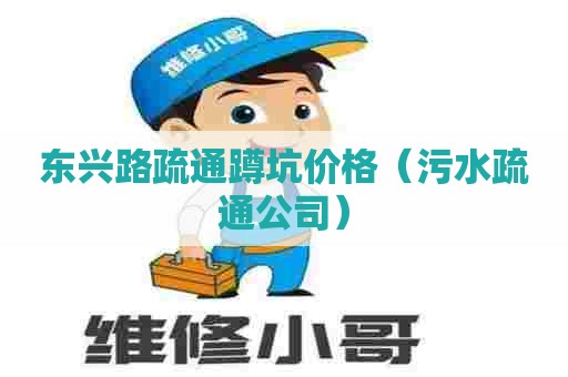 东兴路疏通蹲坑价格（污水疏通公司）