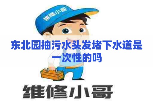东北园抽污水头发堵下水道是一次性的吗