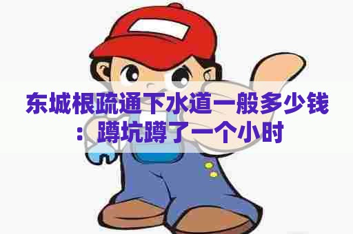 东城根疏通下水道一般多少钱:蹲坑蹲了一个小时 东城根疏通下水道一般多少钱:蹲坑蹲了一个小时