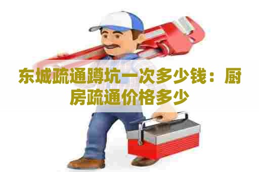 东城疏通蹲坑一次多少钱：厨房疏通价格多少