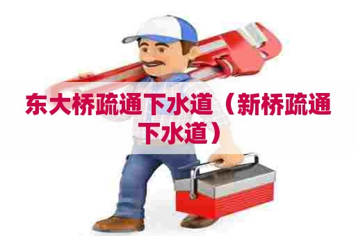 东大桥疏通下水道（新桥疏通下水道）