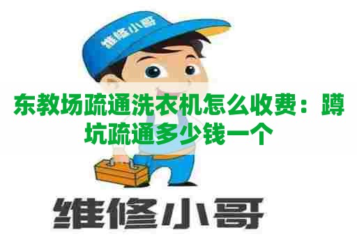 东教场疏通洗衣机怎么收费：蹲坑疏通多少钱一个