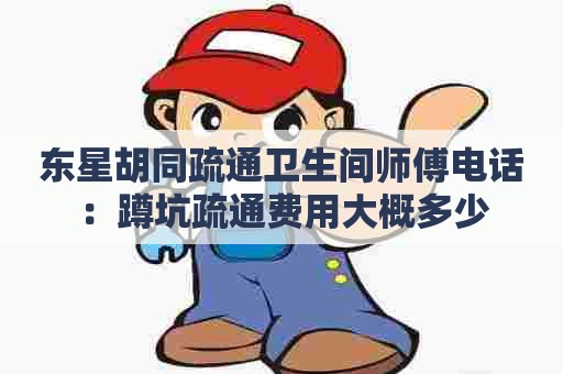 东星胡同疏通卫生间师傅电话:蹲坑疏通费用大概多少 东星胡同疏通卫生间师傅电话:蹲坑疏通费用大概多少