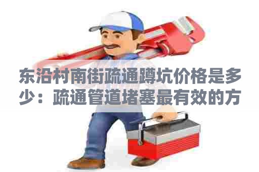 东沿村南街疏通蹲坑价格是多少：疏通管道堵塞最有效的方法