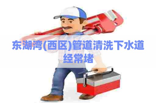 东湖湾(西区)管道清洗下水道经常堵