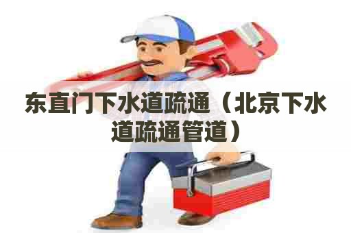 东直门下水道疏通（北京下水道疏通管道）