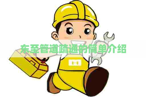 东至管道疏通的简单介绍