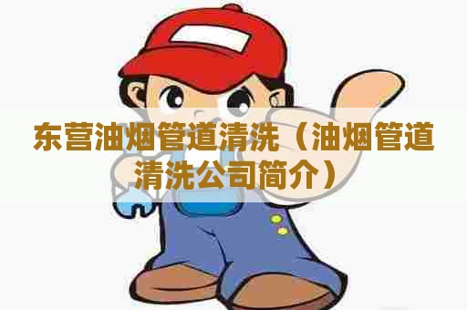 东营油烟管道清洗（油烟管道清洗公司简介）