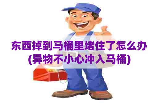 东西掉到马桶里堵住了怎么办(异物不小心冲入马桶)