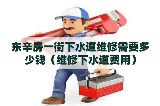 东辛房一街下水道维修需要多少钱(维修下水道费用) 东辛房一街下水道维修需要多少钱(维修下水道费用)