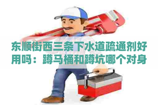 东顺街西三条下水道疏通剂好用吗:蹲马桶和蹲坑哪个对身体好 东顺街西三条下水道疏通剂好用吗:蹲马桶和蹲坑哪个对身体好