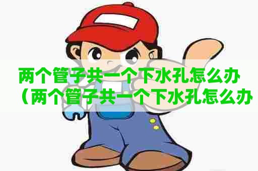 两个管子共一个下水孔怎么办（两个管子共一个下水孔怎么办视频）