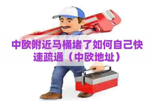 中欧附近马桶堵了如何自己快速疏通(中欧地址) 中欧附近马桶堵了如何自己快速疏通(中欧地址)