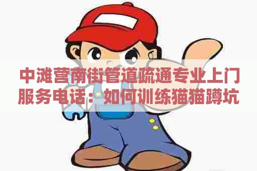 中滩营南街管道疏通专业上门服务电话:如何训练猫猫蹲坑 中滩营南街管道疏通专业上门服务电话:如何训练猫猫蹲坑