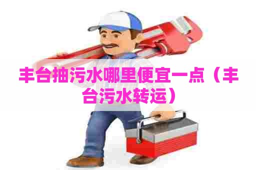 丰台抽污水哪里便宜一点（丰台污水转运）