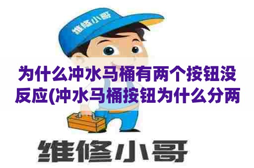 为什么冲水马桶有两个按钮没反应(冲水马桶按钮为什么分两半)