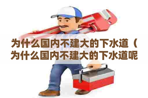 为什么国内不建大的下水道（为什么国内不建大的下水道呢）