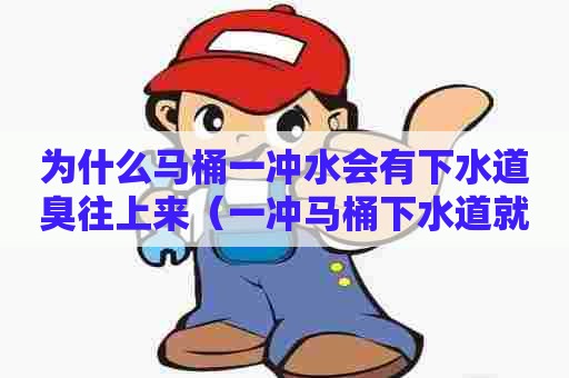 为什么马桶一冲水会有下水道臭往上来（一冲马桶下水道就反味）