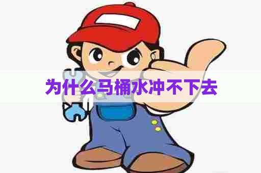 为什么马桶水冲不下去 为什么马桶水冲不下去