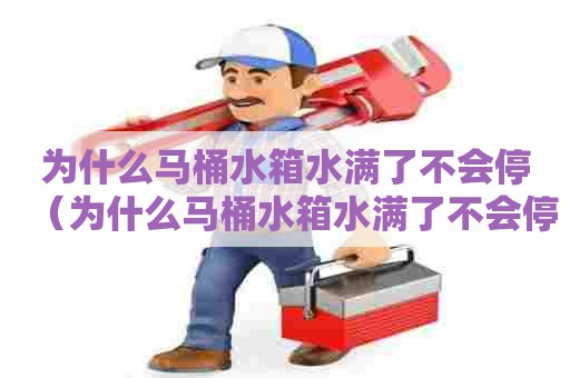 为什么马桶水箱水满了不会停（为什么马桶水箱水满了不会停一直响）