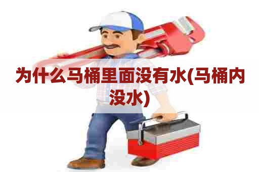 为什么马桶里面没有水(马桶内没水) 为什么马桶里面没有水(马桶内没水)