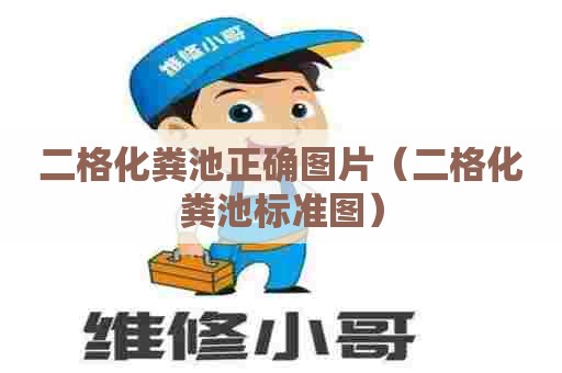 二格化粪池正确图片（二格化粪池标准图）